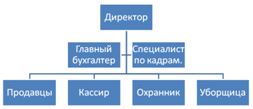 Организационная структура магазина «Школьник»