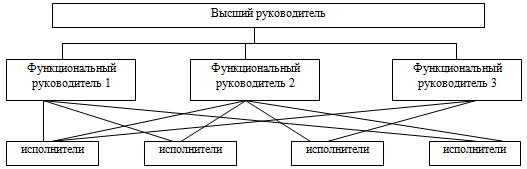 Функциональная структура