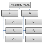 Линейная орг. структура (А, Б – линейные исполнители; А1… и Б1... – исполнители)