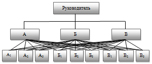 Функциональная орг. структура (А,Б,В – функциональные службы; А1…,Б1….,В1…. – исполнители)