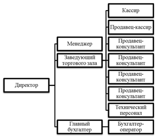 Организационная структура фирмы «Виквас»