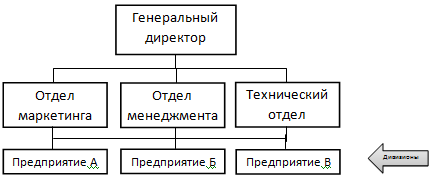 Дивизиональная структура