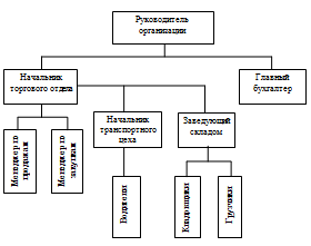 Организационная структура ООО  «Металлснаб»