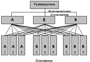 Функциональная организационная структура управления
