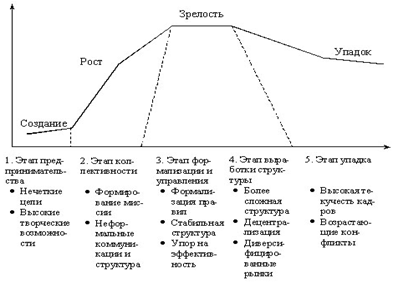 Этапы жизненного цикла организации