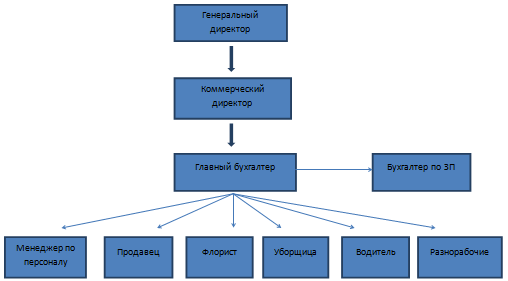 Организационная структура ООО «Флоранж»