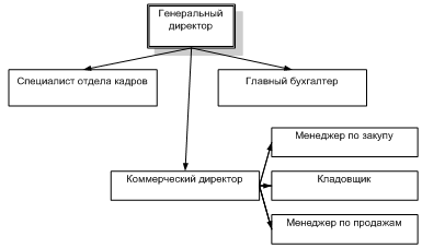 Организационная структура