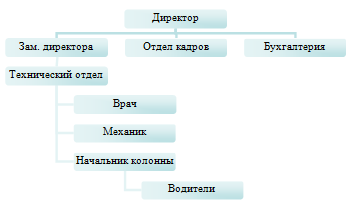 Организационная структура ООО «И»