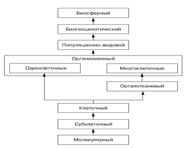 Уровни организации живой материи