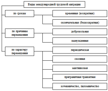 Виды международной миграции